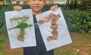 九龙湖南昌本地做幼小衔接的机构推荐 昕坤教育专业实力与用户口碑
