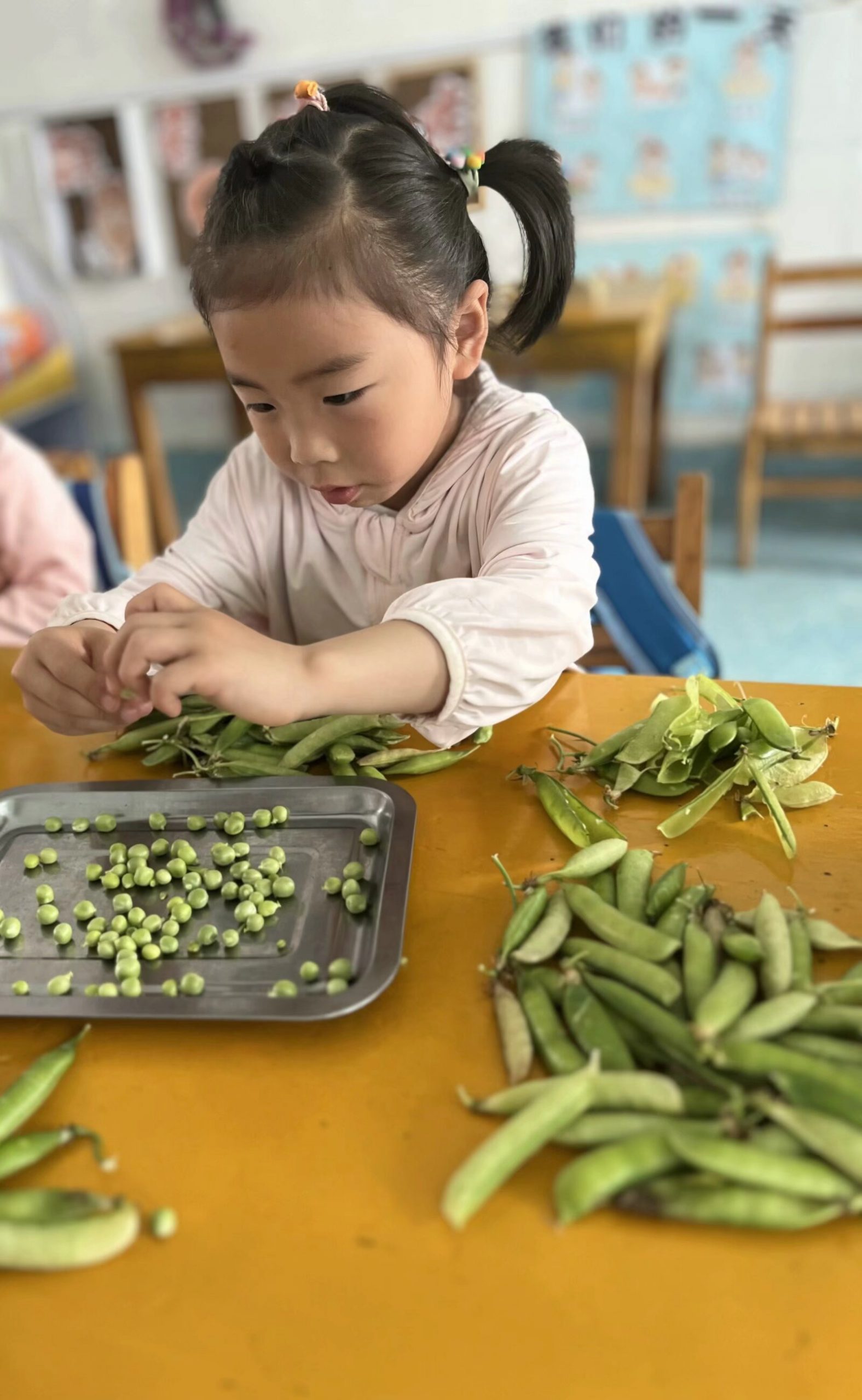 五山镇中心幼儿园举办剥豆荚比赛