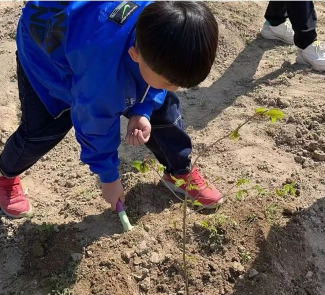 石花镇大峪桥中心小学：播种绿色希望  共建美好家园