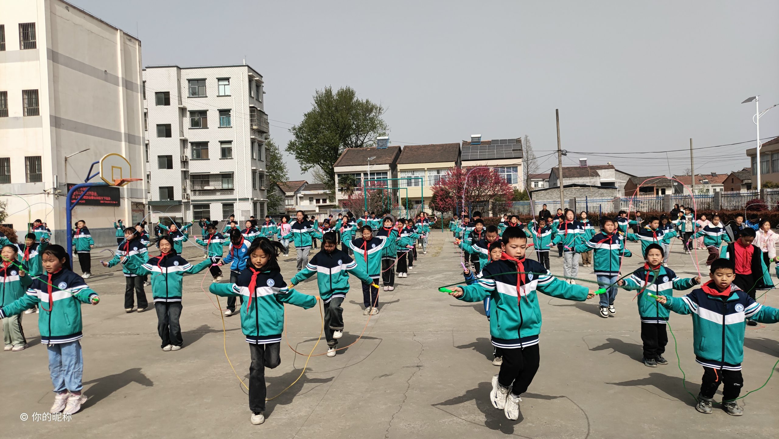 庙滩镇熊营中心小学：阳光律动、“绳”采飞扬