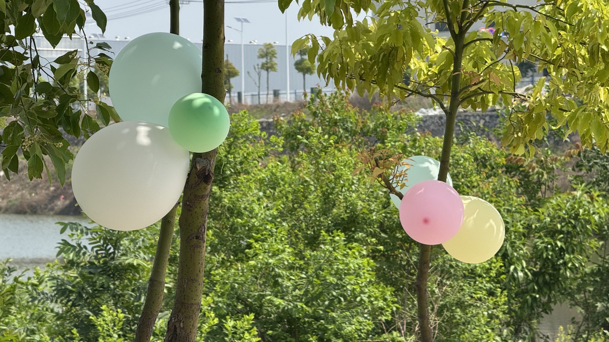 荆门市龙盘湖农庄承接生日宴会