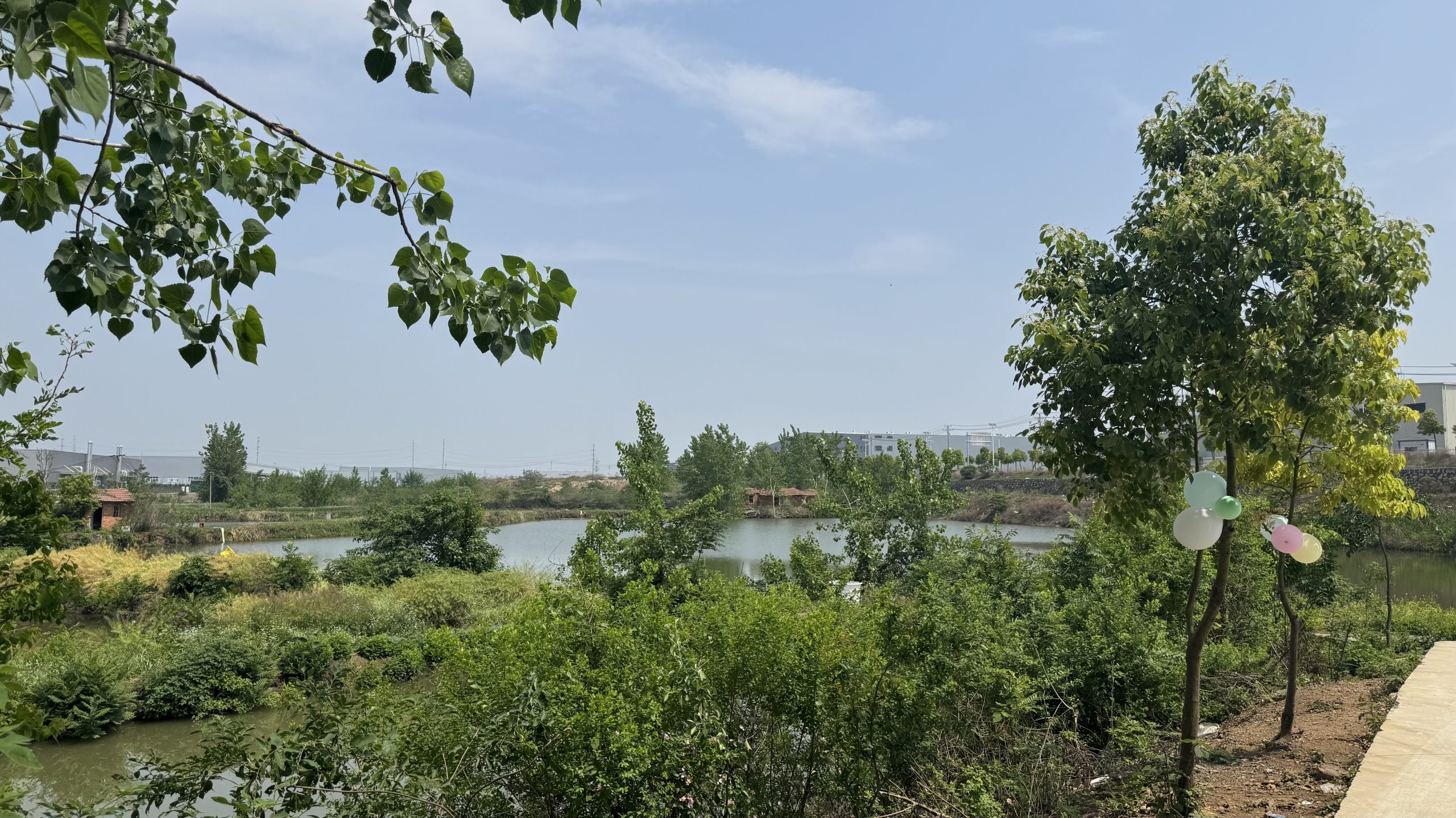 荆门市龙盘湖农庄承接生日宴会