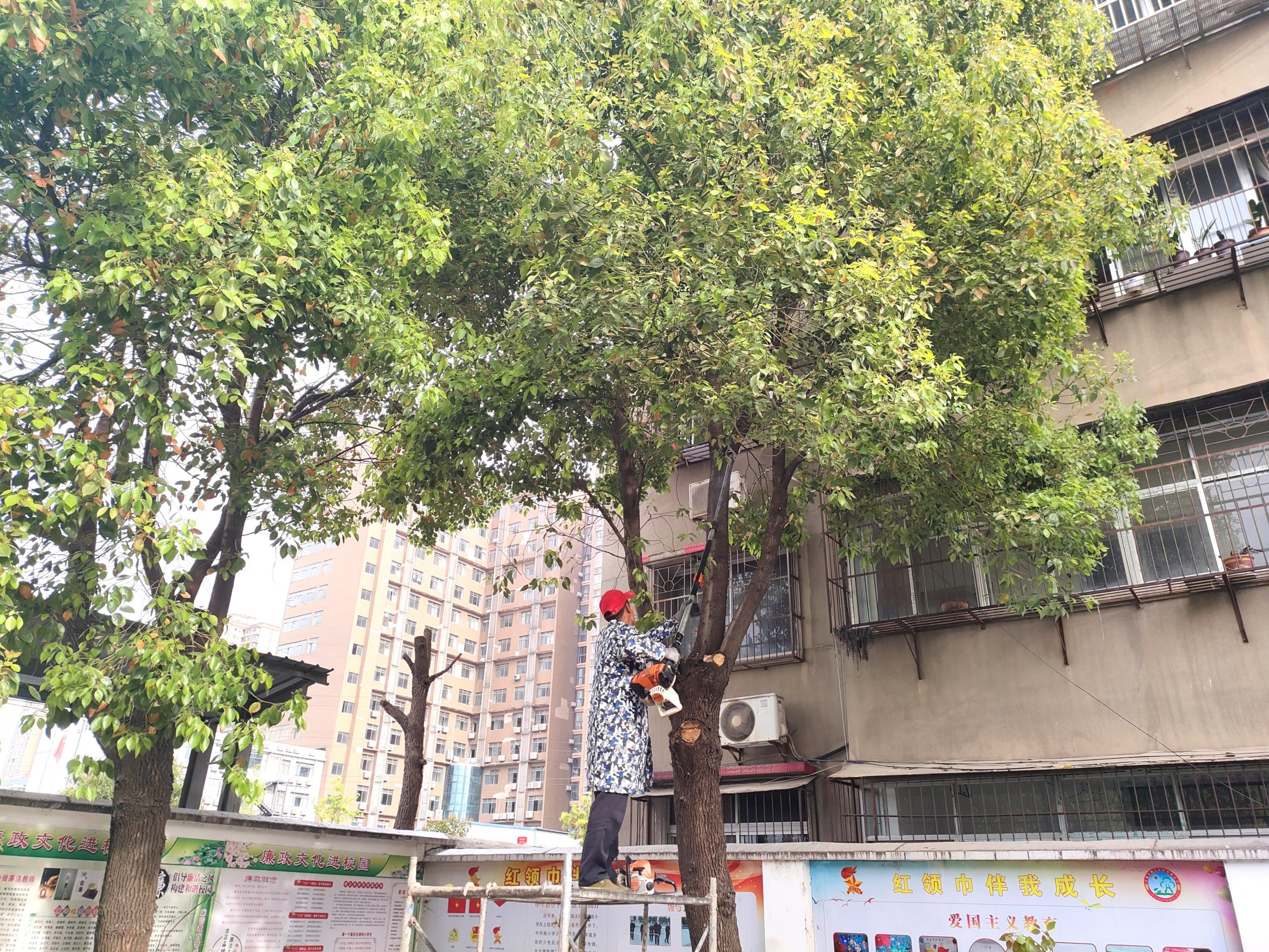 谷城县粉阳路小学教联体中华路校区：精细管理显智慧 主动作为强担当