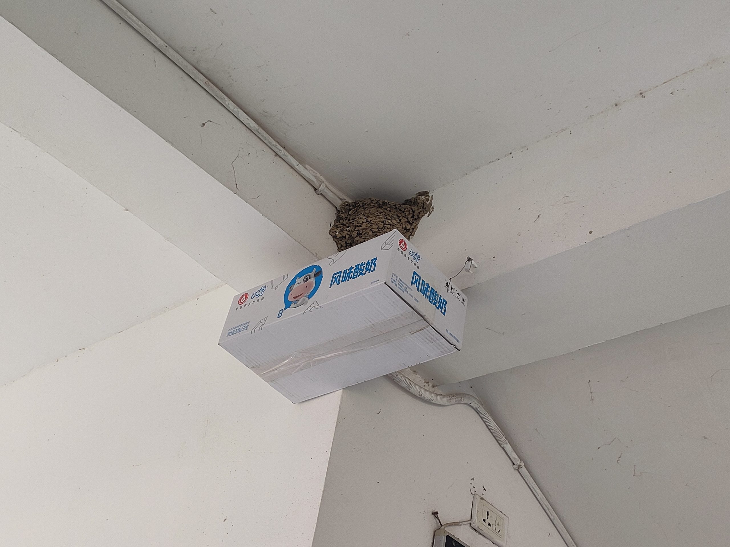 谷城县粉阳路小学教联体中华路校区：精细管理显智慧 主动作为强担当