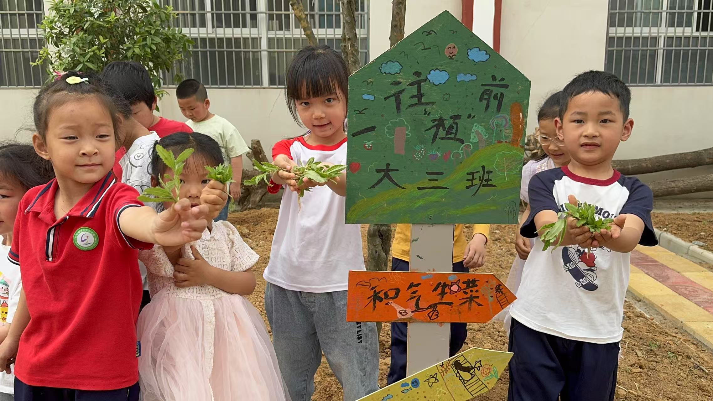 谷城县石花镇凉水井幼儿园：童心育苗 劳动启蒙