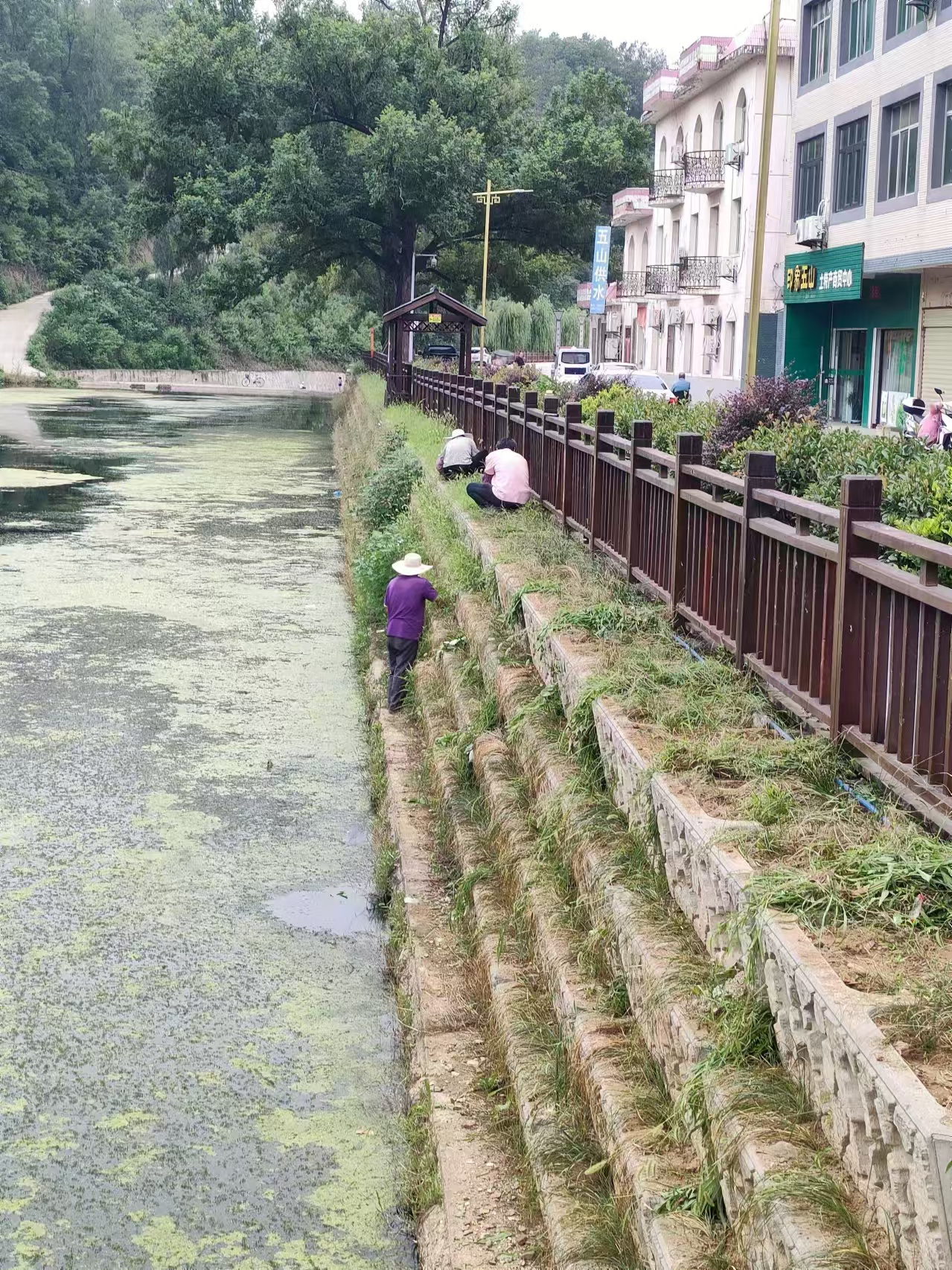 “四项行动”，闻畈在行动