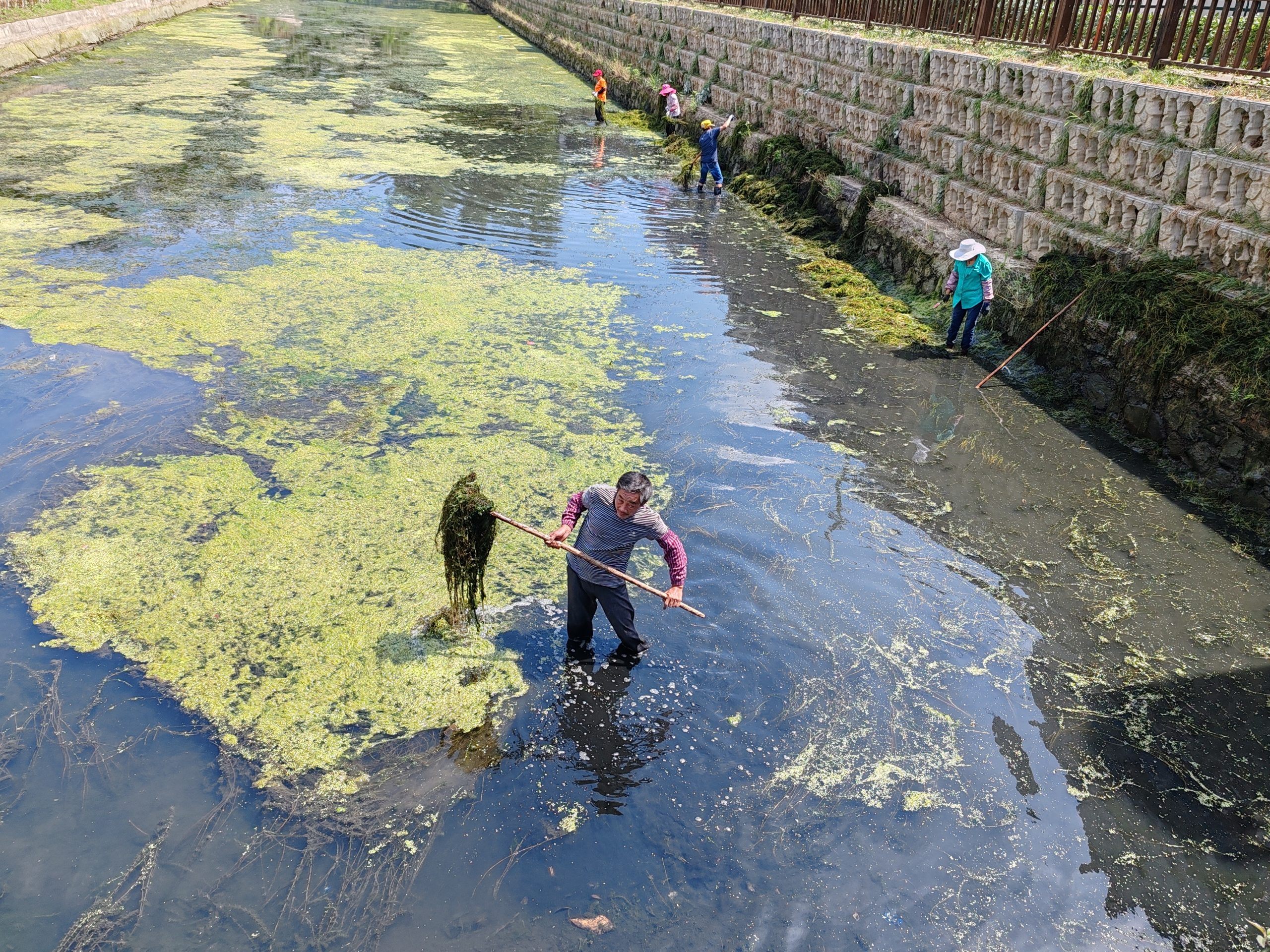 “四项行动”，闻畈在行动