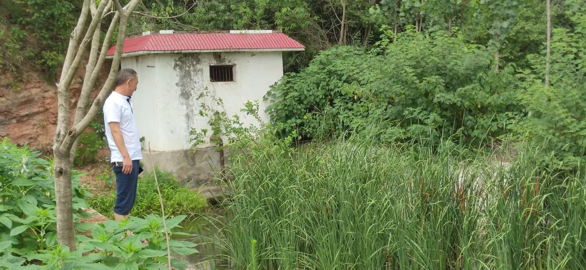 谷城县石花镇倒座中心小学：构建家校社协同机制 筑牢暑期安全防线