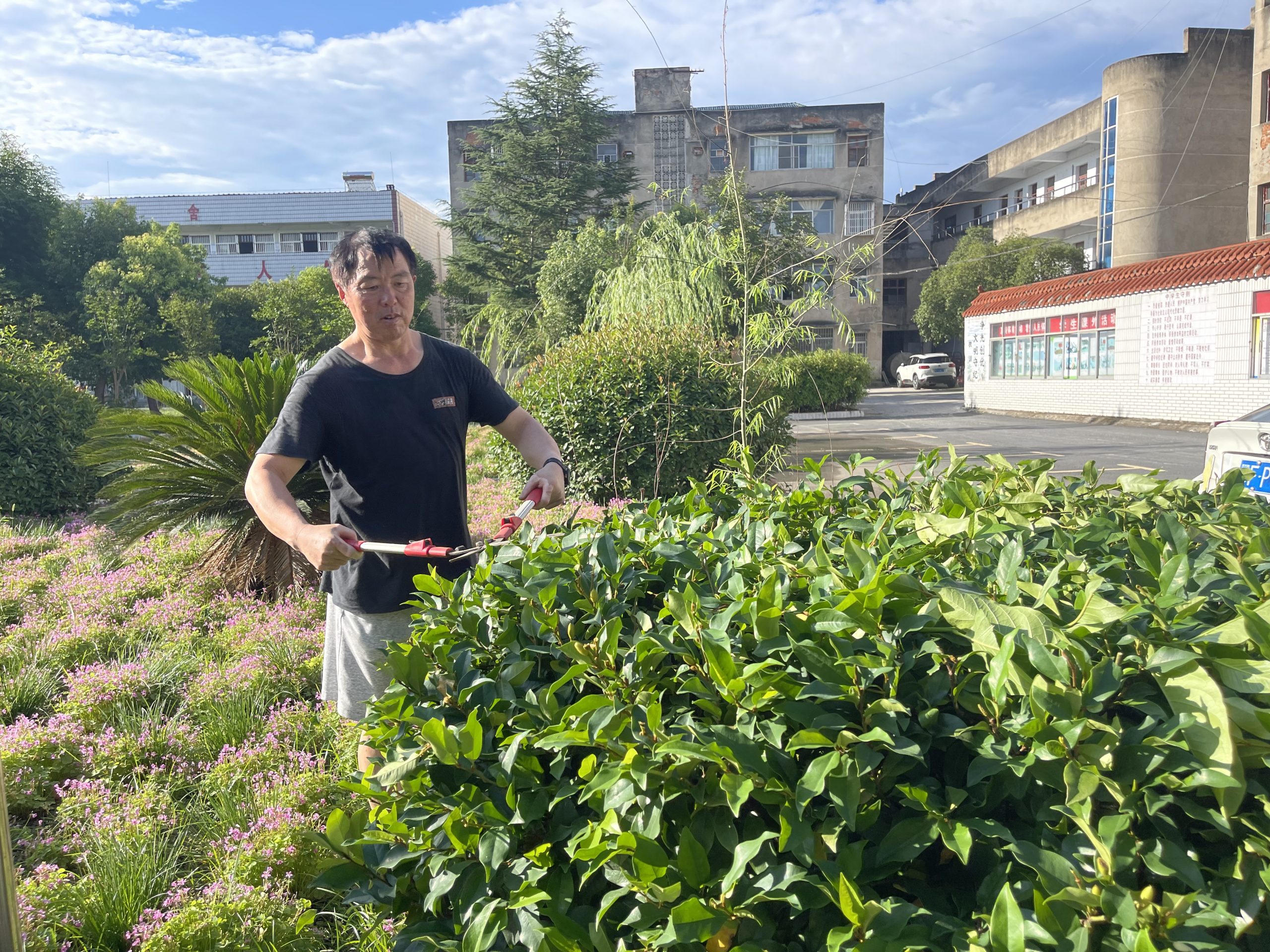 谷城县盛康二中烈日下的校园美容师：姜吉国用汗水浇灌四季美景