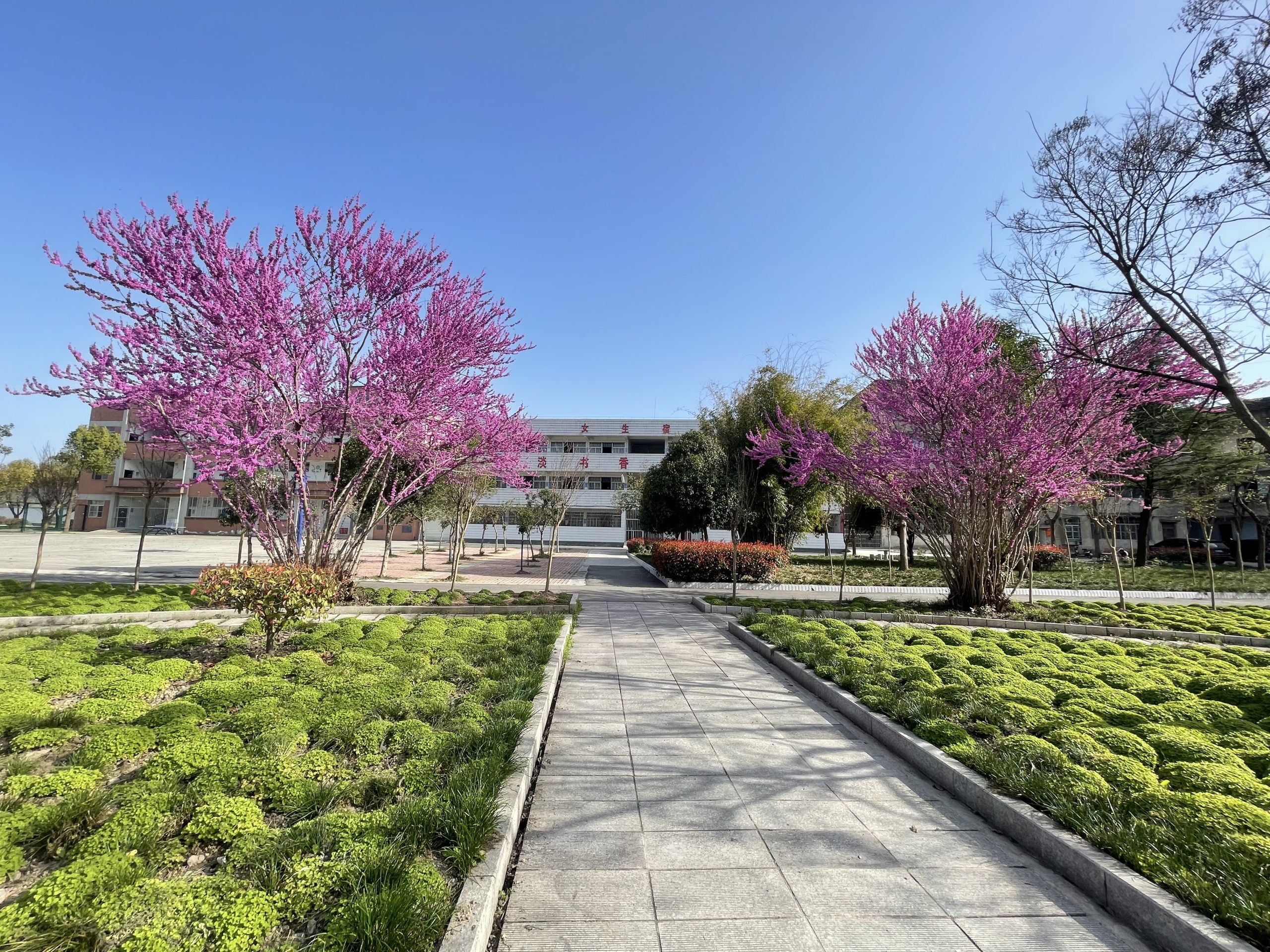 谷城县盛康二中烈日下的校园美容师：姜吉国用汗水浇灌四季美景