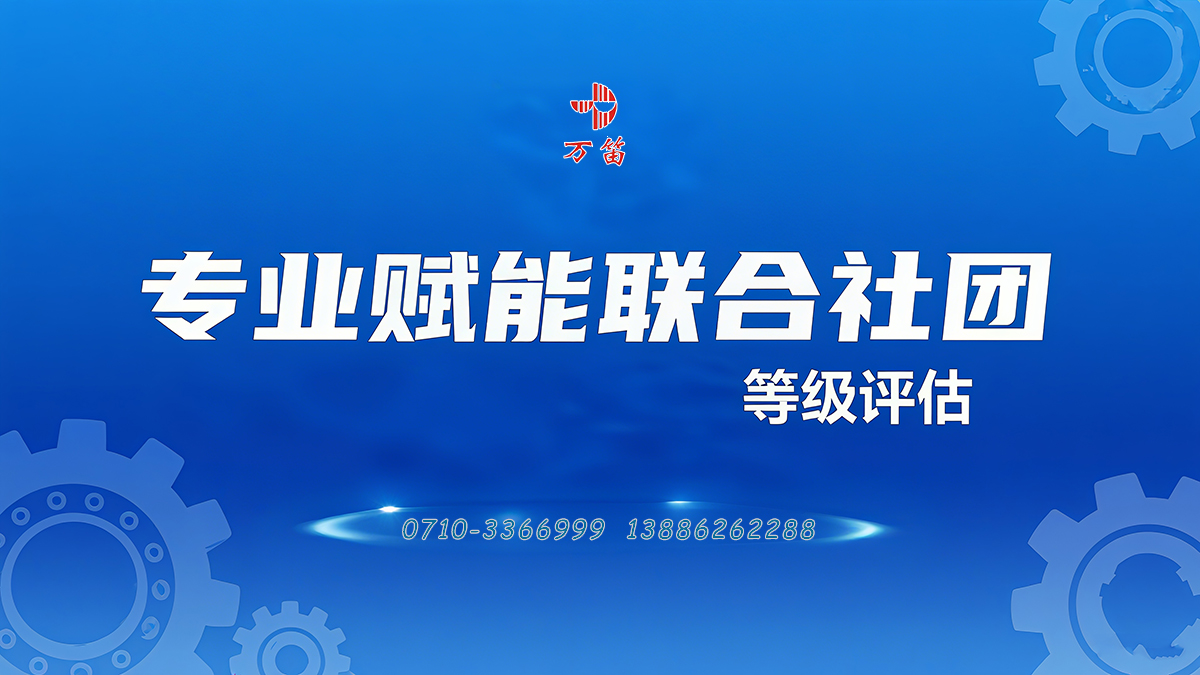 专业赋能联合社团，精准冲刺襄阳社会组织等级评估——申报材料定制服务助力升级之路