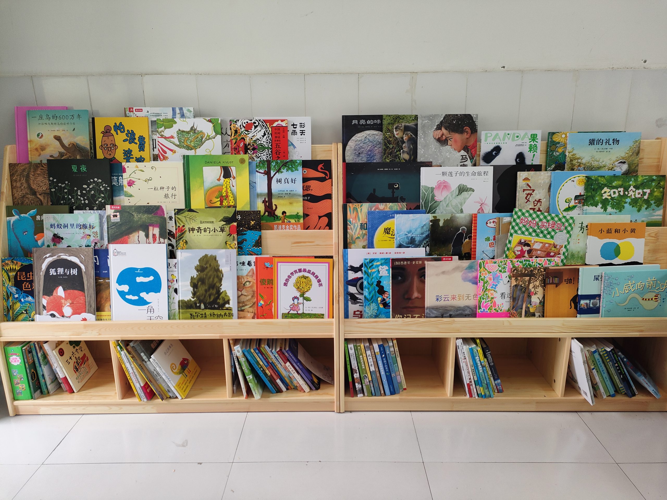 小种子图书计划为谷城中华路校区学子点亮阅读之光