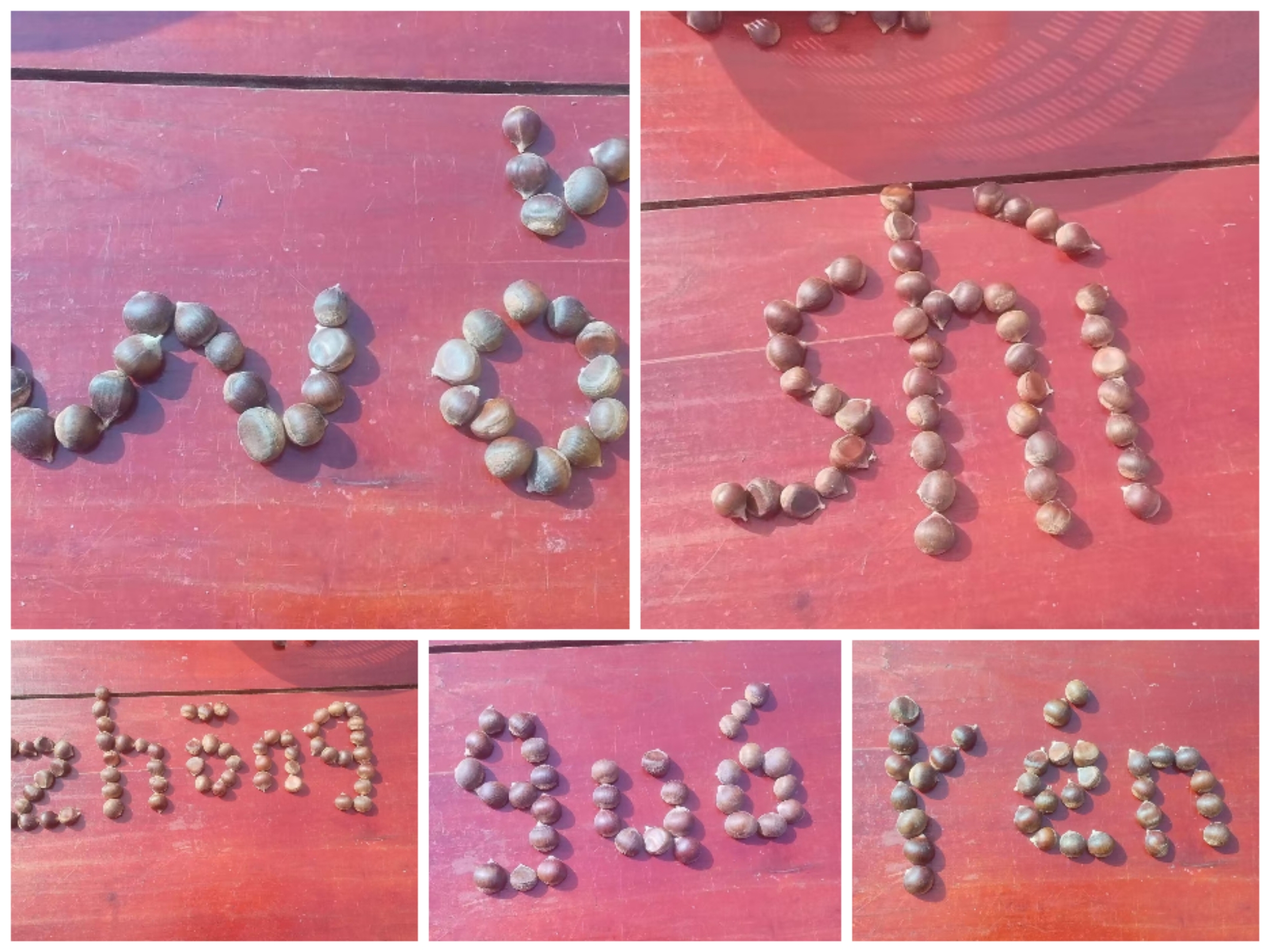 谷城县茨河镇如松小学：享拼音之趣  品拼音之美