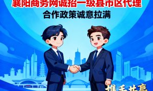 襄阳商务网诚招一级县市区代理