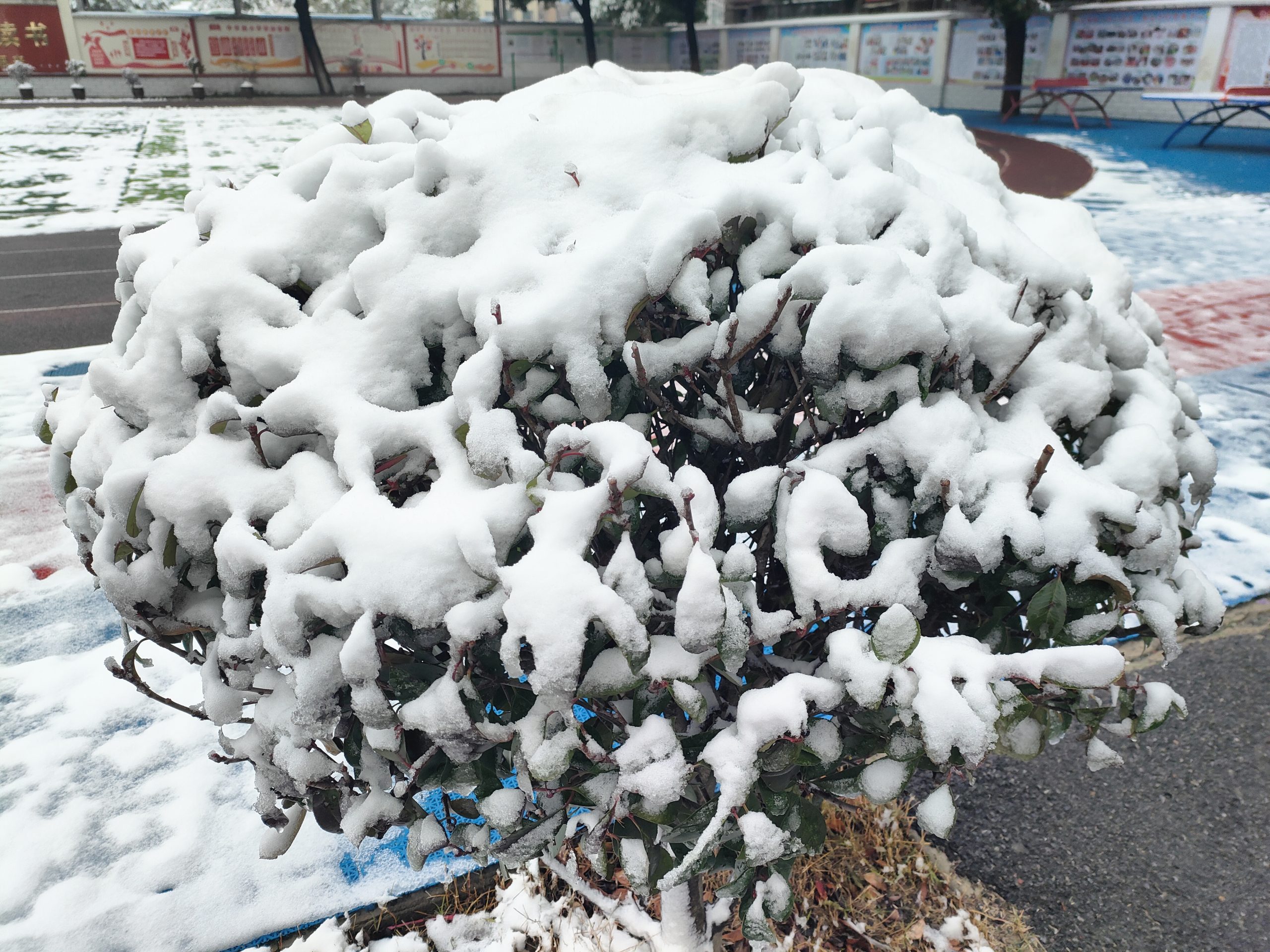 雪落谷城中华路小学 雪落谷城中华路小学