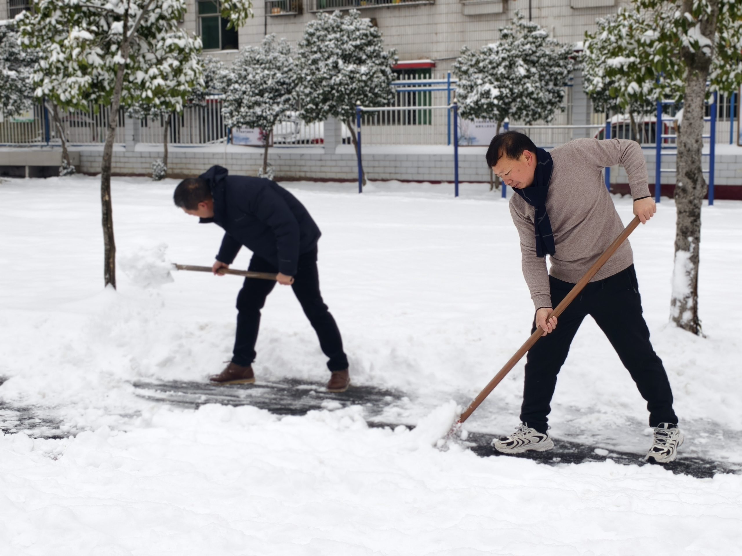 以雪为令践初心  校领导带头除雪护平安