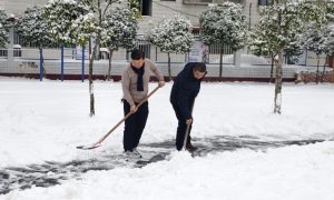 石花镇大峪桥中心小学,黄旭阳,肖志华,以雪为令践初心,校领导带头除雪护平安,石先政