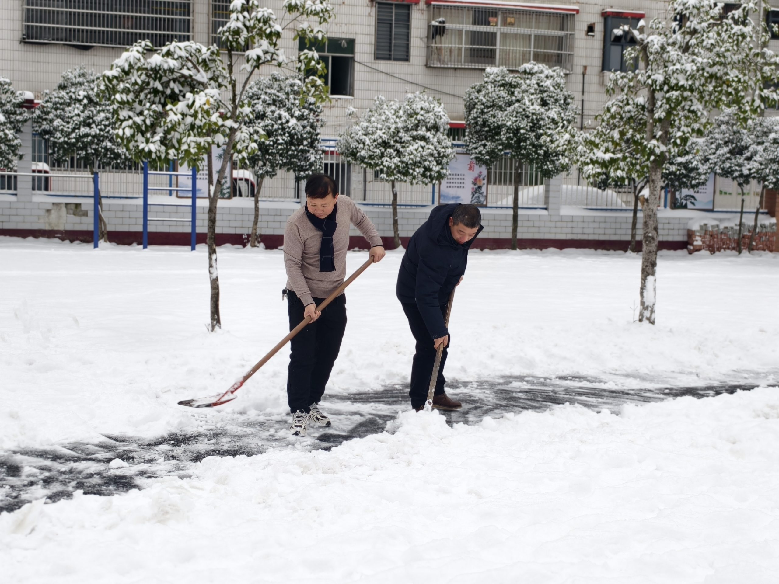 以雪为令践初心  校领导带头除雪护平安
