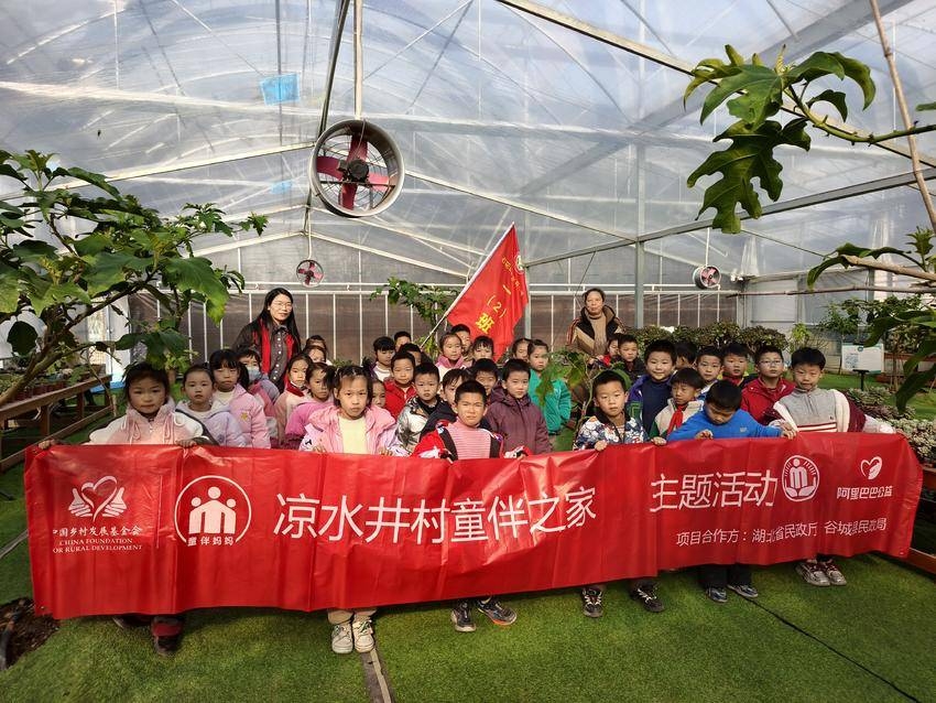 思政课“活”起来 谷城县凉水井小学将思政课堂“搬”进多肉植物大棚 思政课“活”起来 谷城县凉水井小学将思政课堂“搬”进多肉植物大棚