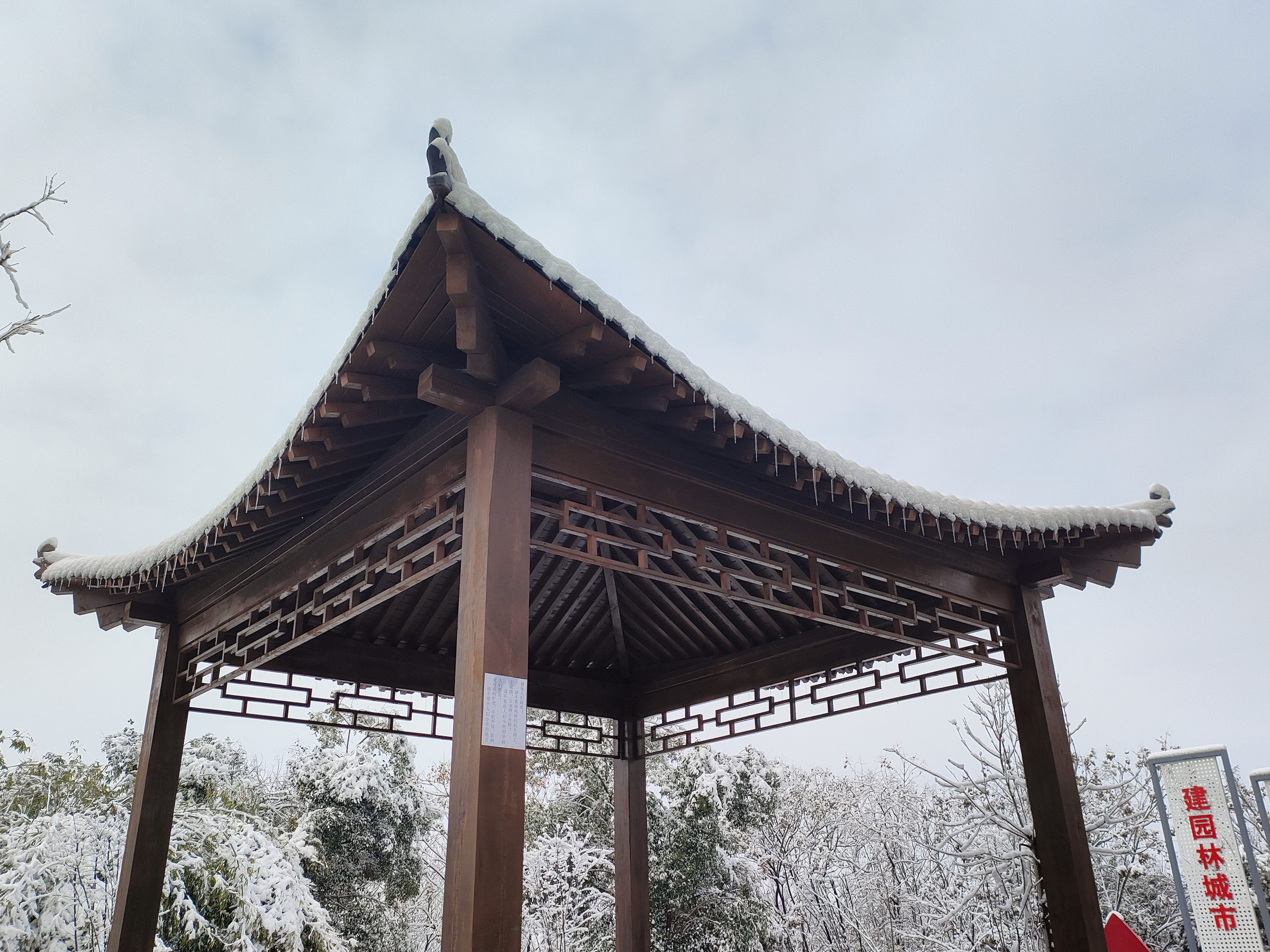 谷山雪韵 谷山雪韵