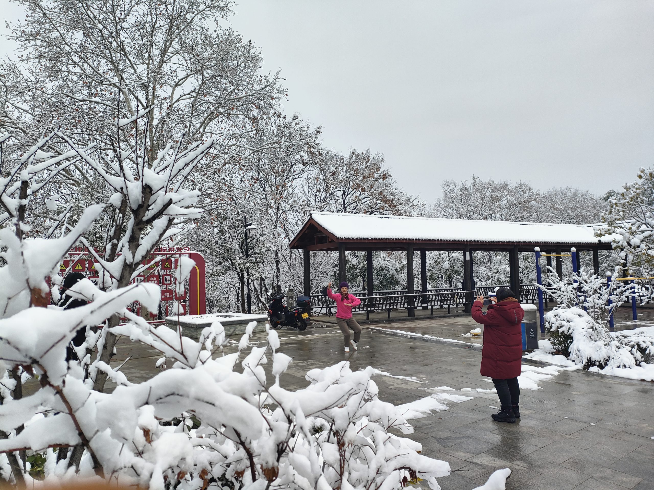 谷山雪韵 谷山雪韵