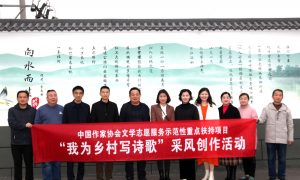 李志安,杨超英,谷城本土文学队伍,张晓宇,王俊