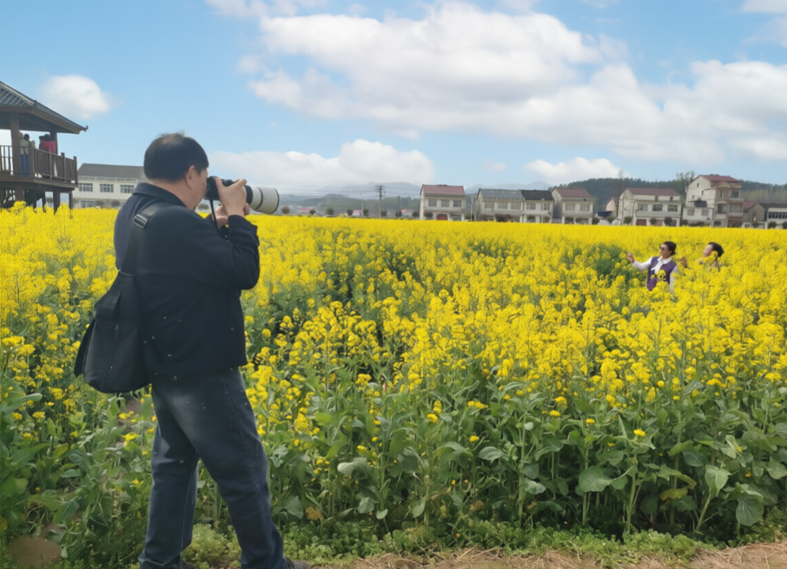 金浪涌张棚 春风醉花田