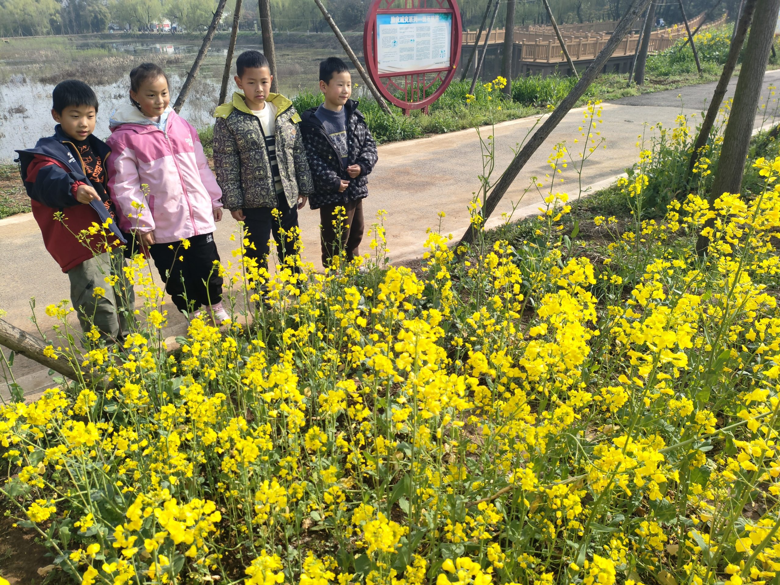 谷城县粉阳路小学教联体中华路校区：春分踏青 乐享自然