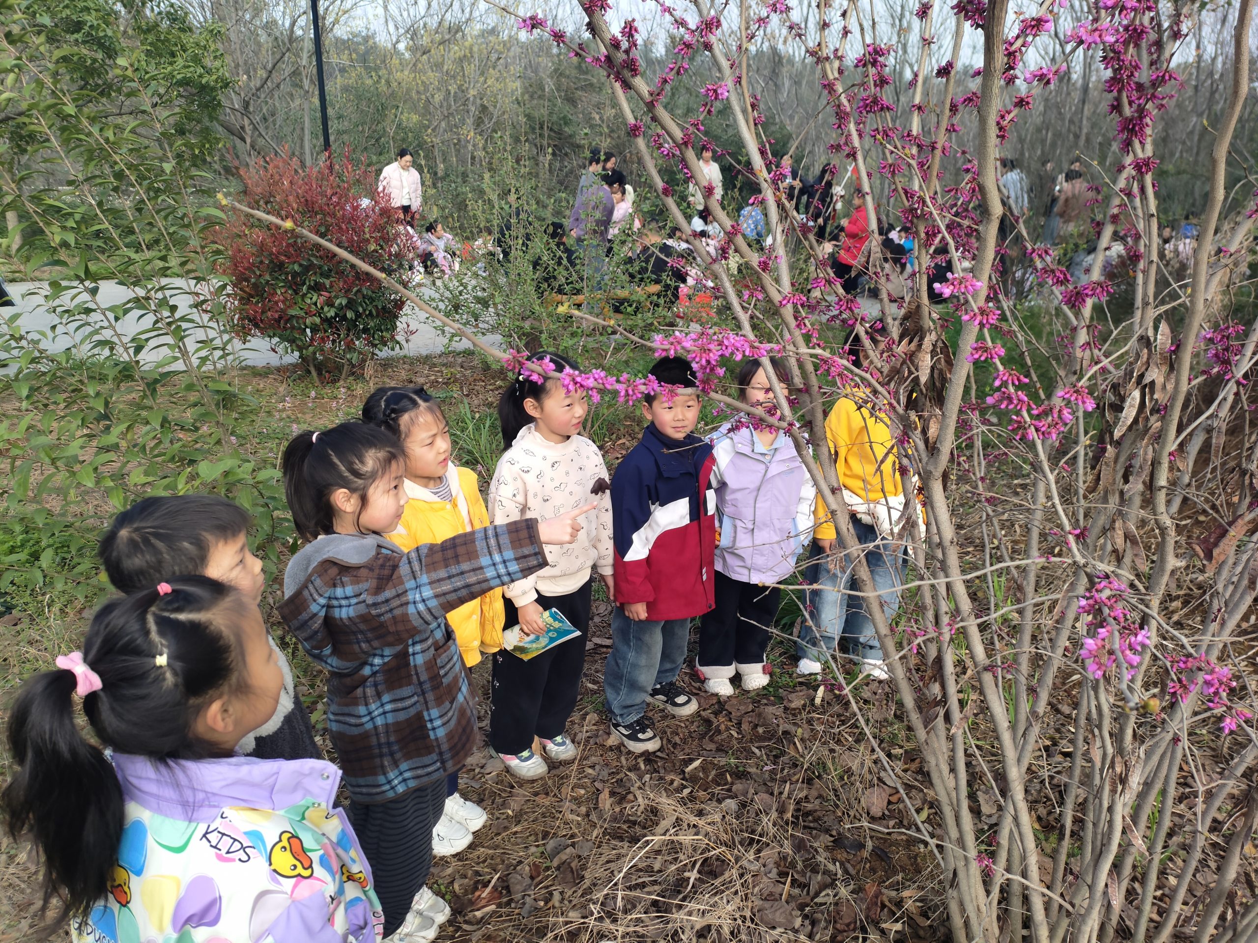谷城县粉阳路小学教联体中华路校区：春分踏青 乐享自然