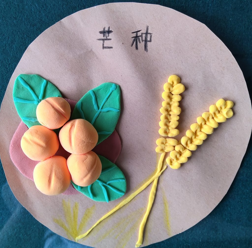 时逢芒种勤耕耘 节气育人润童心——盛康镇小学六(3)班开展芒种节气文化实践活动 时逢芒种勤耕耘 节气育人润童心——盛康镇小学六(3)班开展芒种节气文化实践活动