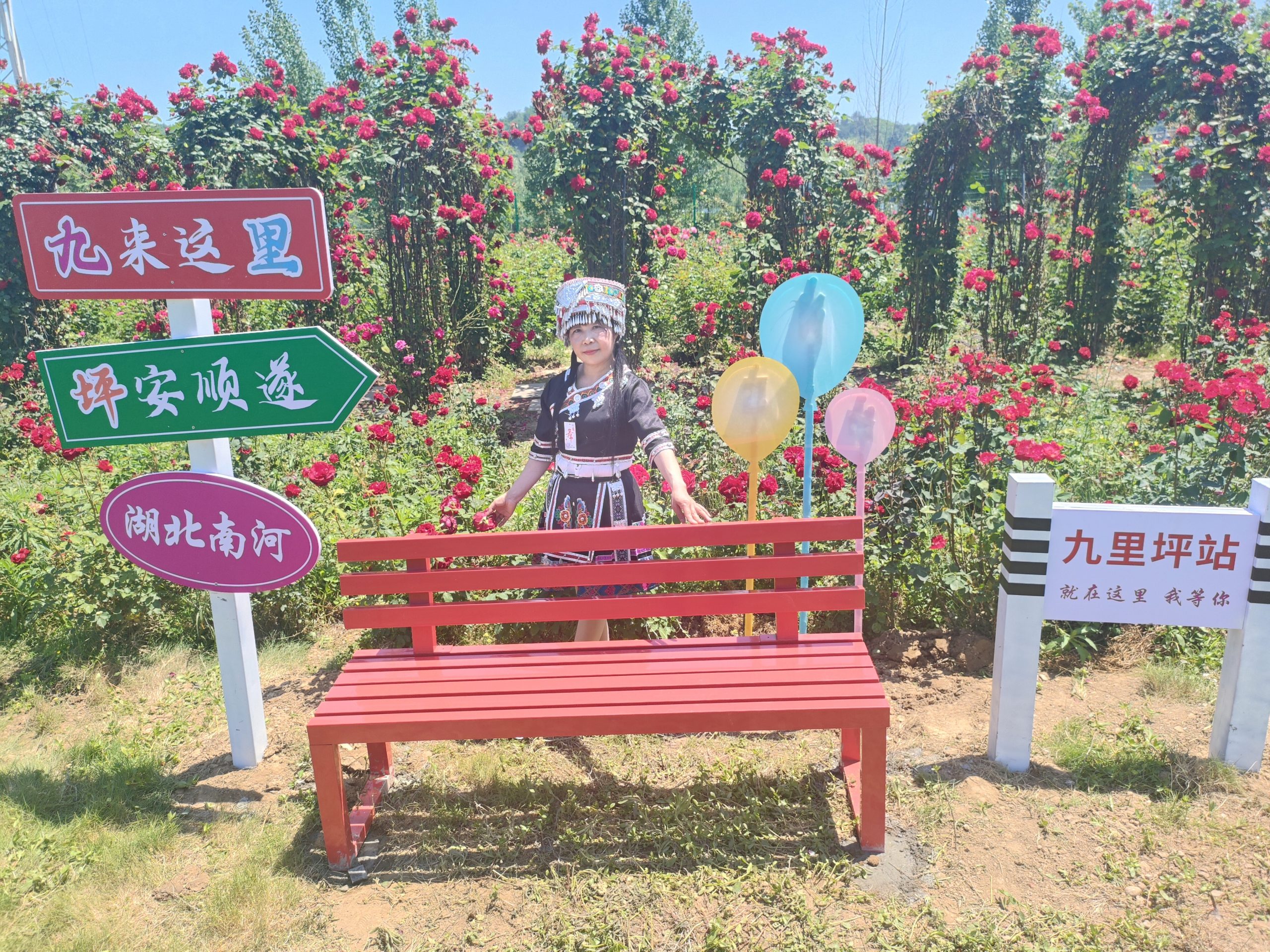 谷城：九里坪月季漫初夏