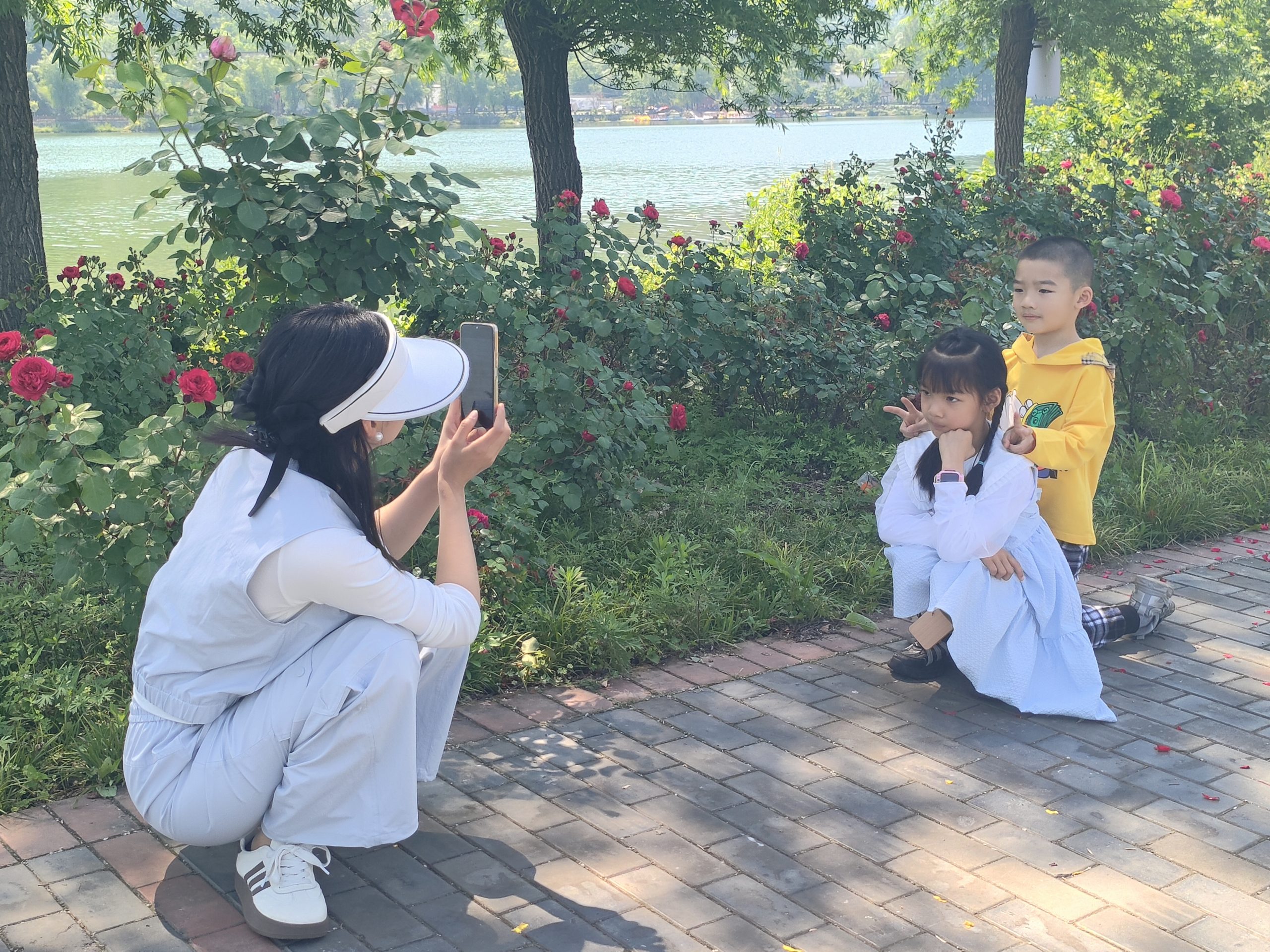 谷城：九里坪月季漫初夏
