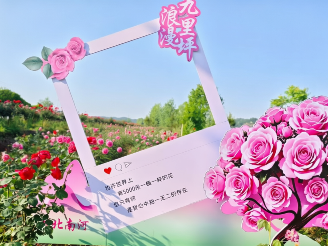 谷城：九里坪月季漫初夏
