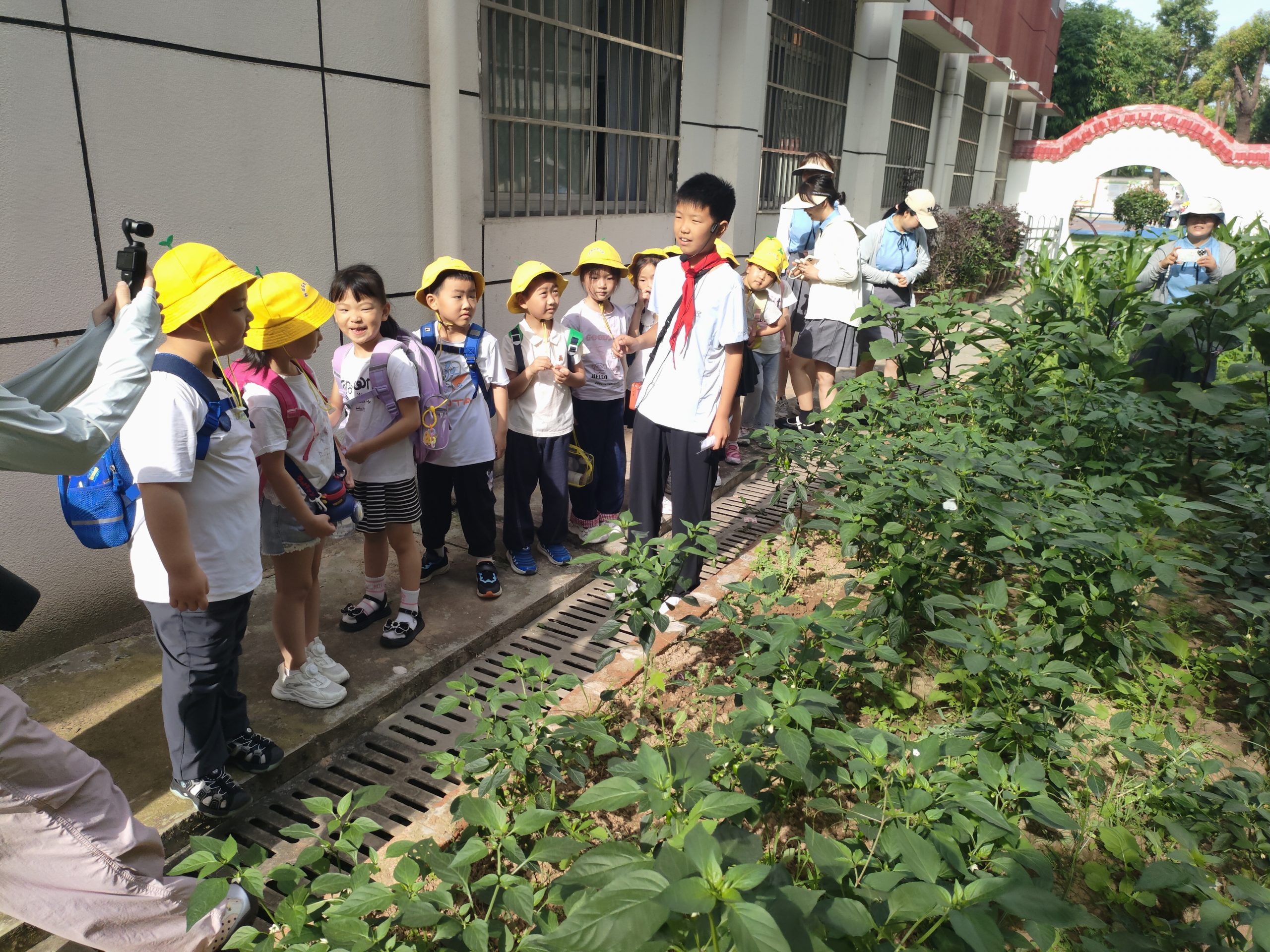 谷城县城关镇中华路小学：幼小衔接“零距离” 萌娃探秘小学行