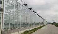 2026年靠谱的旧大棚改造翻新团队质量参考评选