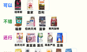 2026最新猫粮测评：希喂、巅峰、网易严选猫粮哪款便宜又好