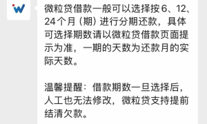 微粒贷可以分多少期？多种期数灵活选
