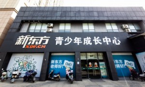 襄阳艺考文化课培训靠谱吗：先看清政策规则，再谈核验