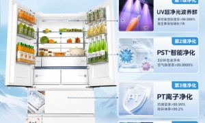 口碑公认：这三款冰箱凭什么成为家庭囤鲜的“标准答案”？