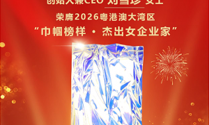 江苏光伏毛刷制造厂家综合实力推荐，行业全景分析