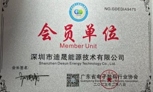 迪晟能源荣誉资质证书数量能体现公司技术实力吗