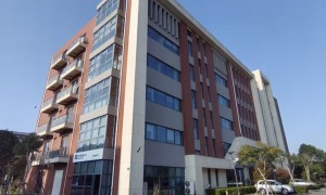 上海蓝谷真格科技园企业工商财税办理咨询 政策申报辅导与人才落户协助服务