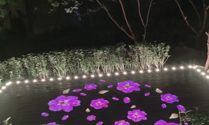 2026年靠谱的投影灯加工厂质量参考评选