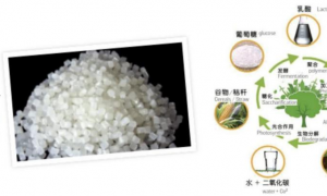 2026年聚乳酸面料精品定制工厂挑选全攻略