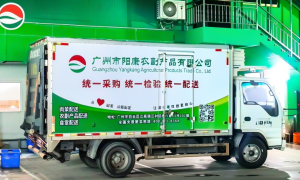 2026年广州食材配送商哪家性价比高，不踩坑的服务商挑选全攻略