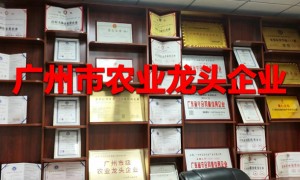2026年评价高的团餐食材配送专业公司推荐