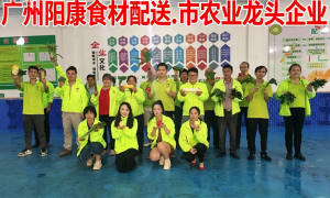 2026年佛山做放心配送的食堂食材配送公司推荐