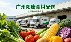 2026年广州地区带农残检测送菜公司净菜配送服务商家测评排名