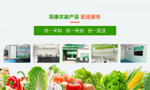 清远2026年口碑好的食材配送服务商推荐，学校食堂不踩坑