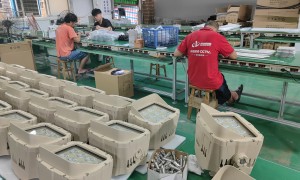 2026年评价高的户外亮化工程安装队靠谱商家测评排名